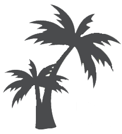 Palmier noir